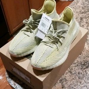 Adidas Boost 350 V2 Antlia